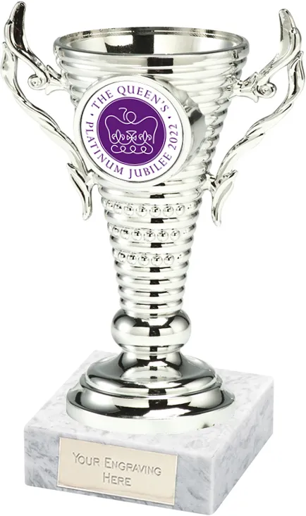 Turin Silver Cup Presentation Award Trophy  7.5 Inch Free p&p & Engraving